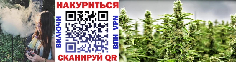 Виды наркоты Новомичуринск Cocaine  A PVP  OMG сайт  ГАШ 