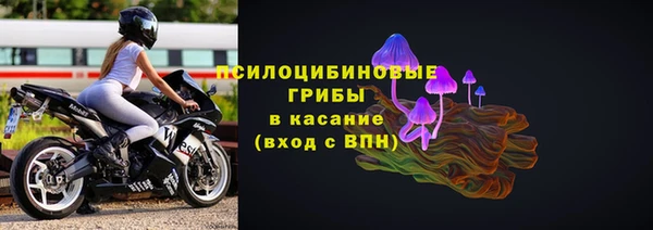 спиды Медвежьегорск