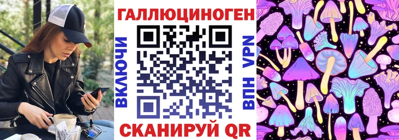 где купить наркоту  Новомичуринск  Псилоцибиновые грибы Magic Shrooms 