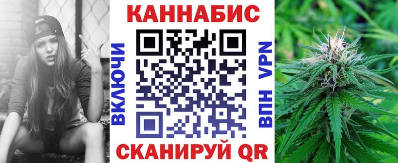 дарнет шоп  Новомичуринск  Бошки марихуана сатива 