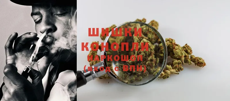 Конопля LSD WEED  сайты даркнета телеграм  Новомичуринск  kraken зеркало 